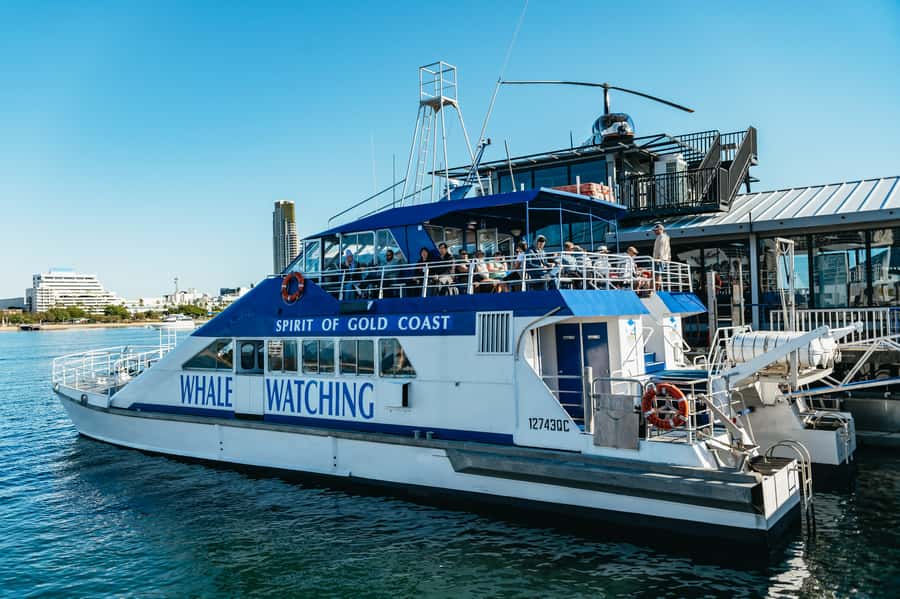Spirit of Gold Coast 2.5-Hour Whale Watching Tour - Key things that make this tour worth your time