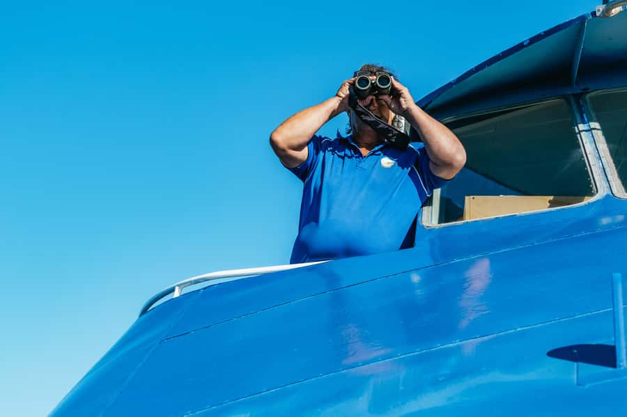 Spirit of Gold Coast 2.5-Hour Whale Watching Tour - Should You Book Spirit of Gold Coast Whale Watching?