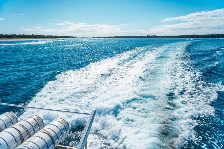Spirit of Gold Coast 2.5-Hour Whale Watching Tour - Marine Biologist Commentary and Captain Dean: Turning Sightings Into Meaning