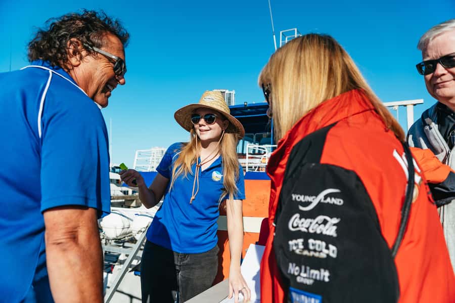 Spirit of Gold Coast 2.5-Hour Whale Watching Tour - Comfort on the Water: Seats, Seasickness, and What to Bring