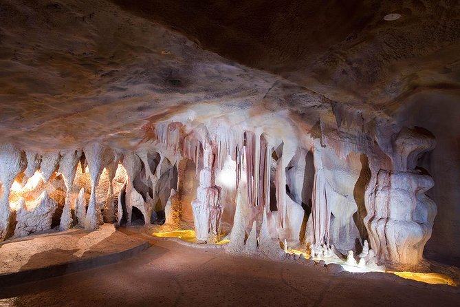 Springbrook andTamborine Rainforest Tour Incl Natural Bridge and Glow Worm Cave - Meeting at 7:45am, then the Numinbah Valley scenery begins