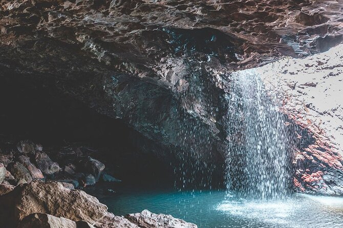 Springbrook andTamborine Rainforest Tour Incl Natural Bridge and Glow Worm Cave - Curtis Falls and Hinze Dam: the easier rainforest legs with strong wildlife odds