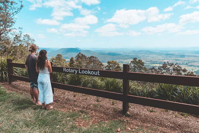 Springbrook andTamborine Rainforest Tour Incl Natural Bridge and Glow Worm Cave - Tamborine Mountain breaks: Gallery Walk and hang glider lookout time