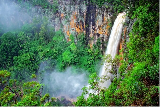 Springbrook Waterfalls & Natural Bridge Tour from Gold Coast - Key things to know before you go