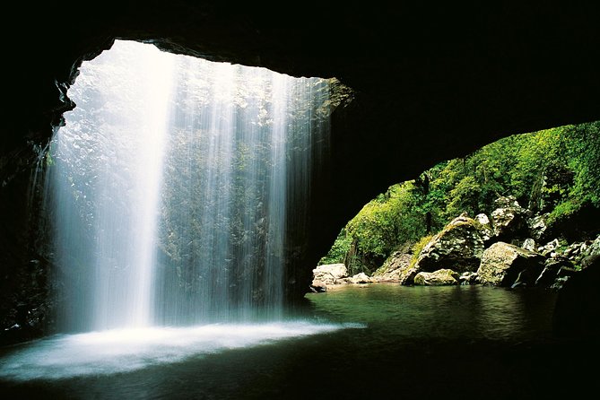 Springbrook Waterfalls & Natural Bridge Tour from Gold Coast - Best of All Lookout: Mount Warning views and a fast start