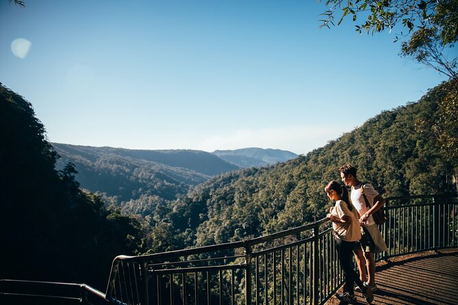 Springbrook Waterfalls & Natural Bridge Tour from Gold Coast - Waterfall stops that fit a half-day plan (and what each one is really like)