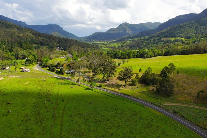 Springbrook Waterfalls & Natural Bridge Tour from Gold Coast - Who should book this Springbrook waterfalls tour
