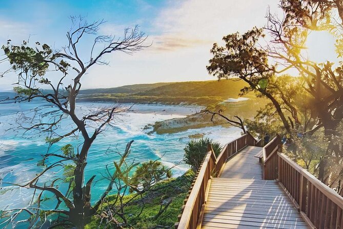 Stradbroke Island Eco Day Trip from Brisbane – Wildlife & Beaches - North Stradbroke Island: the real reason this feels special