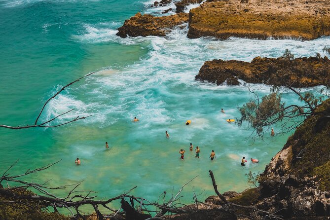 Stradbroke Island Eco Day Trip from Brisbane – Wildlife & Beaches - The North Gorge Walk: cliffs, boardwalk comfort, and winter whale timing