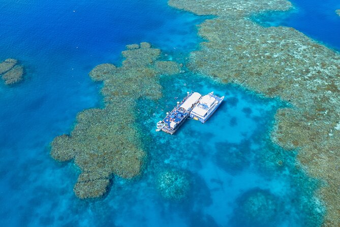 Sunlover Reef Cruises Cairns Great Barrier Reef Experience - The 4-Hour Reef Block: Snorkel Time, Observations, and Fish Feeding