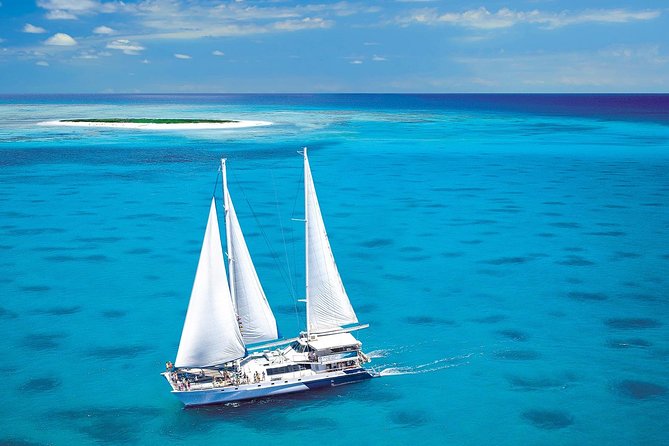 Sunlover Reef Cruises Cairns Great Barrier Reef Experience - Lunch and the Extras That Add Up Fast