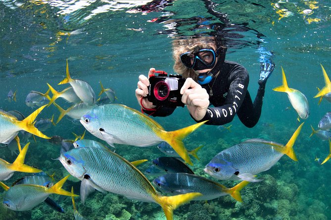 Sunlover Reef Cruises Cairns Great Barrier Reef Experience - Waterslide, Sundeck Breaks, and How to Enjoy It Without Rushing
