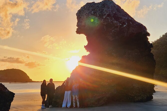 Sunrise with the kangaroos and wallabies - Why Cape Hillsborough at dawn feels different