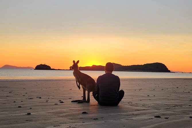Sunrise with the kangaroos and wallabies - The eco-nature guide walk through coastal Australia