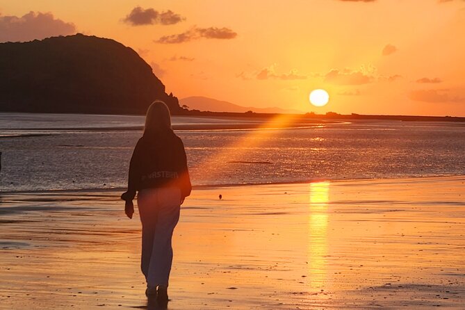 Sunrise with the kangaroos and wallabies - The ride back to Airlie Beach and what you’ll notice