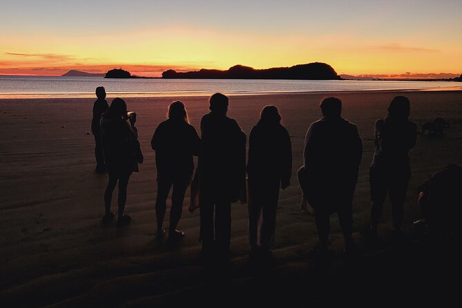 Sunrise with the kangaroos and wallabies - Price and value: is $109.61 fair for a 7-hour sunrise?