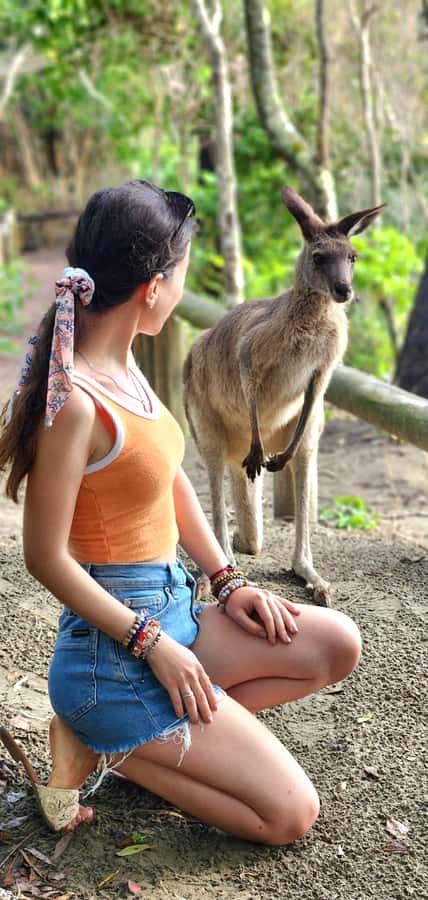 Sunrise with the Kangaroos & Wallabies - Airlie Beach - Key things to love about this sunrise tour