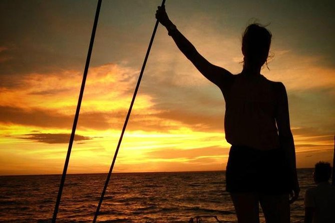 Sunset 3-Hour Cruise from Darwin with Dinner and Sparkling Wine - Price and what $132.69 buys you in real value