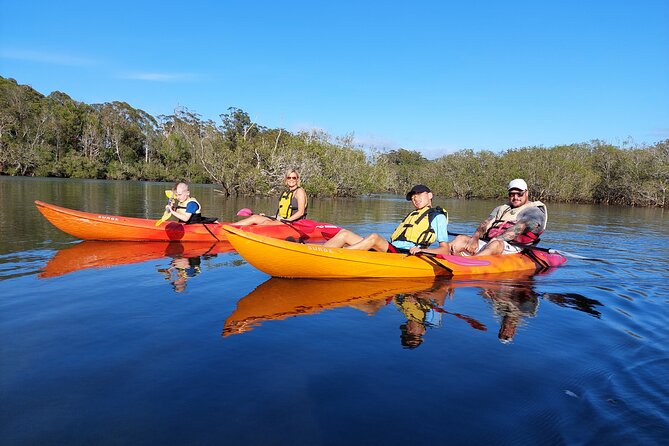 Sunset Kayak Eco Tour with Marine Scientist - Sunset Kayak Eco Tour, Boambee Creek Style