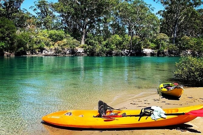 Sunset Kayak Eco Tour with Marine Scientist - Getting Your Kayak Rhythm in Real Time