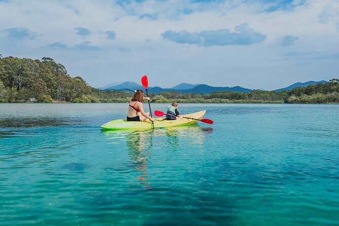 Sunset Kayak Eco Tour with Marine Scientist - What the Two Hours Look Like, Step by Step
