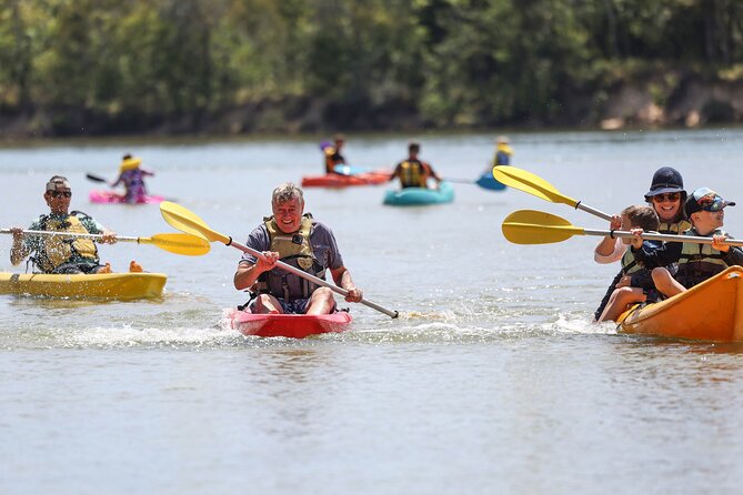 Sunset Kayak Eco Tour with Marine Scientist - Mangroves, Stingrays, and Birdlife You Can Spot at Dusk