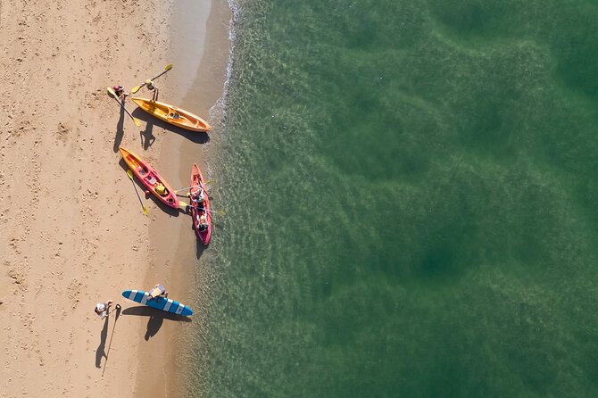Sunset Kayak Eco Tour with Marine Scientist - Yabbying and Hermit Crabs, The Hands-On Moment Kids Love