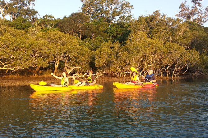 Sunset Kayak Eco Tour with Marine Scientist - Matt’s Role, Photos, and How the Guide Keeps It Friendly