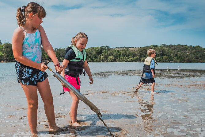Sunset Kayak Eco Tour with Marine Scientist - Where You Start at C-Change Adventures