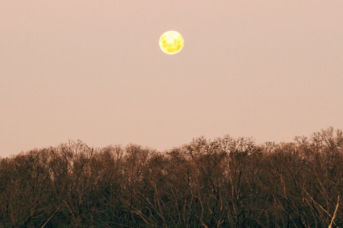 Sunset Nocturnal Adventure Tour - What to expect in practice: comfort, fitness, and readiness