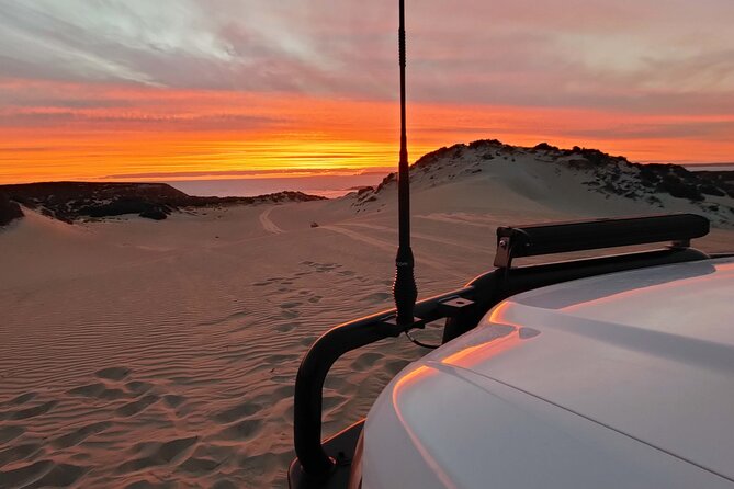 Sunset on the Sand Dunes - Value at $114.04: Is This Worth It?