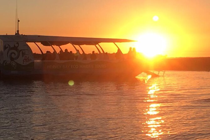Sunset Twilight Cruise in Hervey Bay - Live Music: Nice Extra, Not a Universal Guarantee
