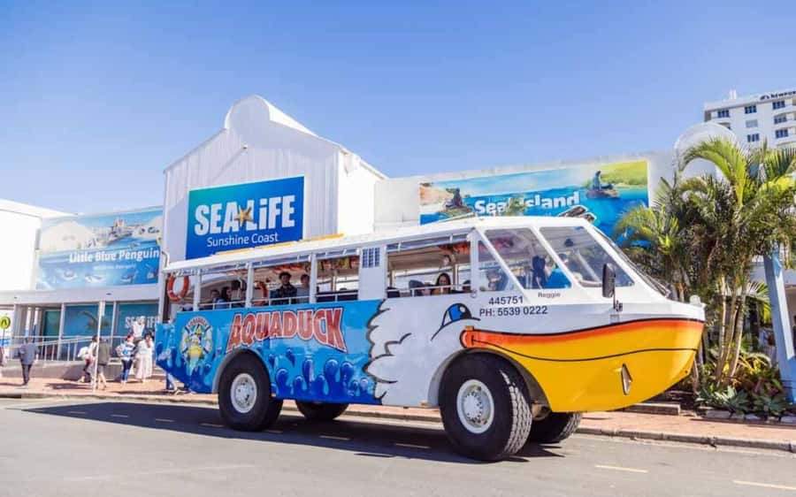 Sunshine Coast: 1-Hour Land and Water Tour - Entering Mooloolaba by amphibious Aquaduck