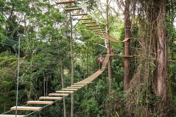 Sunshine Coast Adventure Park TreeTop Challenge - Key takeaways before you book