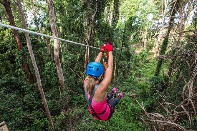 Sunshine Coast Adventure Park TreeTop Challenge - Where the adventure starts: Big Pineapple treetop energy