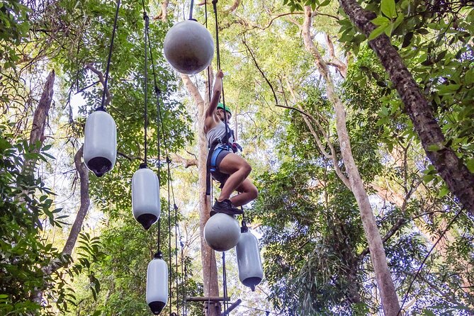 Sunshine Coast Adventure Park TreeTop Challenge - Self paced, fully supervised: how to use the system well