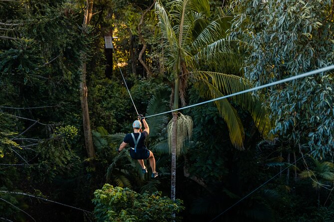 Sunshine Coast Adventure Park TreeTop Challenge - Duration and time in the canopy: plan for 3 hours of focus