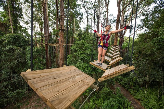 Sunshine Coast Adventure Park TreeTop Challenge - Who this fits best on the Sunshine Coast