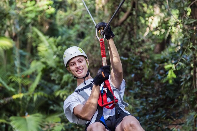 Sunshine Coast Adventure Park TreeTop Challenge - Price and value: is $50.21 actually fair?