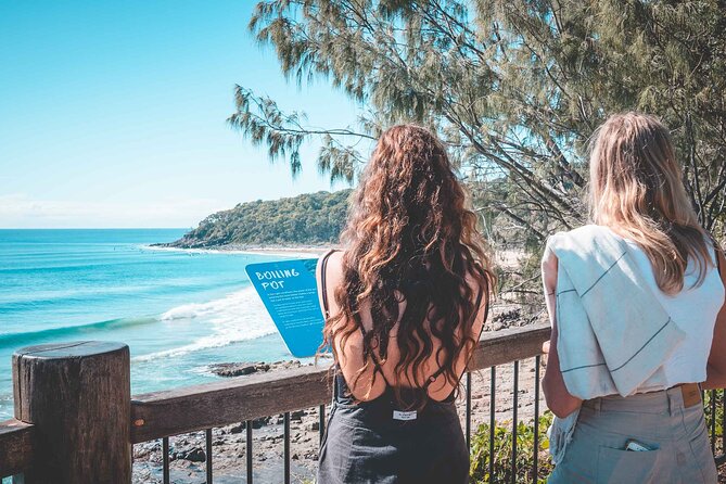 Sunshine Coast Hinterland and Noosa Day Trip from Brisbane Incl Eumundi Markets - Who should book this day trip (and who should skip it)