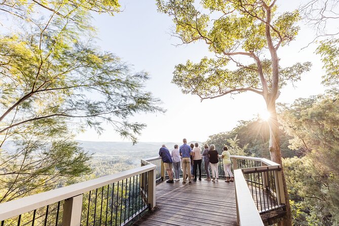 Sunshine Coast Hinterland Scenic Culinary Experience: Montville - A smart way to see the Sunshine Coast Hinterland in one loop