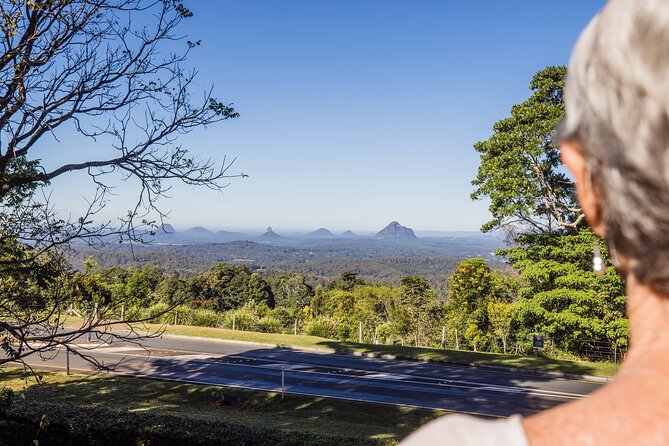 Sunshine Coast Hinterland Scenic Culinary Experience: Montville - Mapleton Falls Lookout for one last view over Obi Obi Valley
