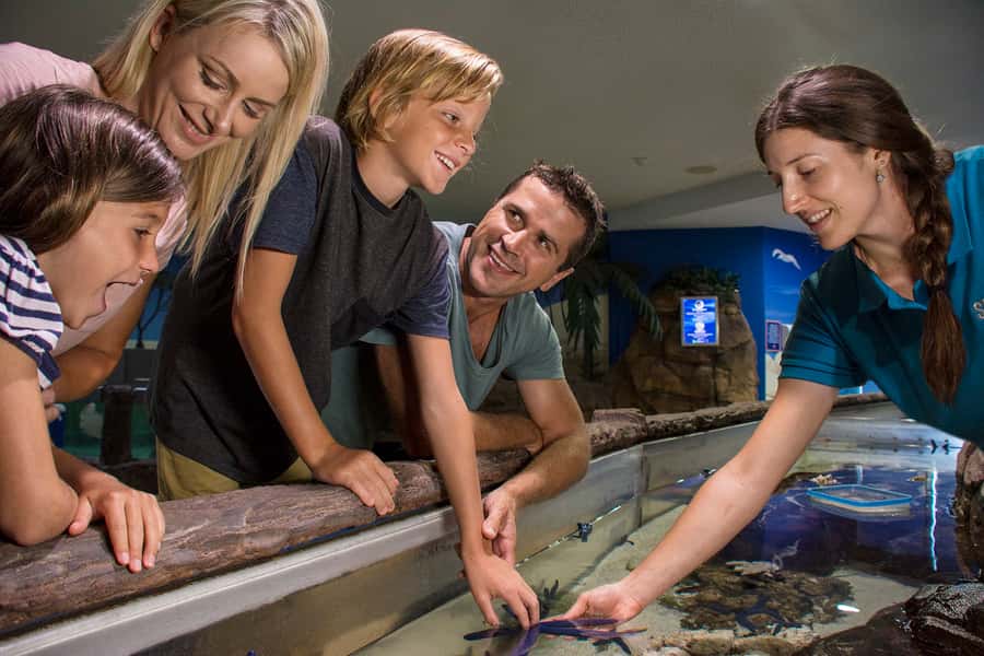 Sunshine Coast: SEA LIFE Sunshine Coast Entry Ticket - Walking through the aquarium: the flow I’d expect you to follow