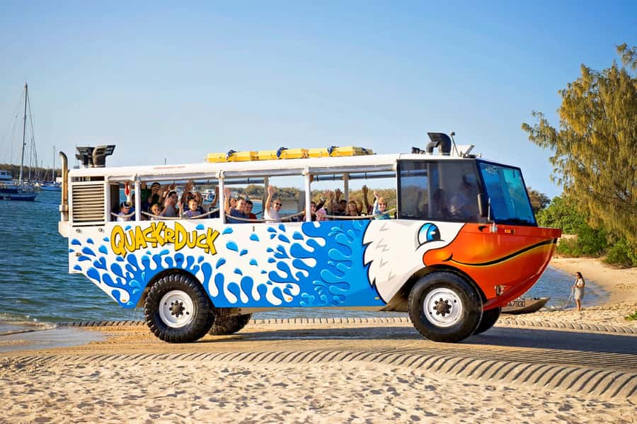 Surfers Paradise: Guided Gold Coast Amphibious Bus Tour - Wildlife Spotting and Commentary: Small Moments Between Big Sights