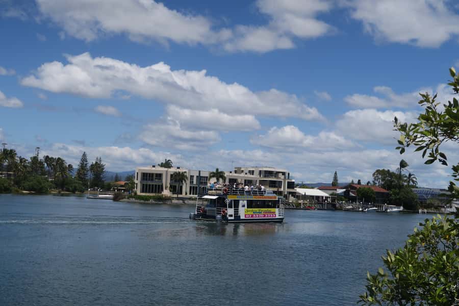 Surfers Paradise: Sightseeing Morning River and Canal Cruise - Dolphins and wildlife: how to enjoy it even if you do not spot them