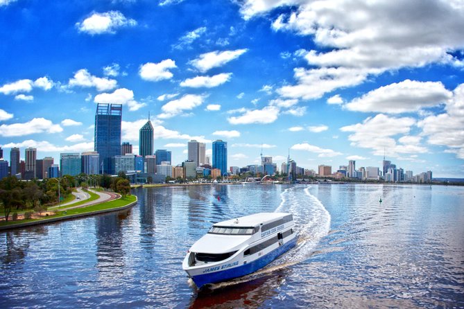 Swan River Scenic Cruise - Gliding Past Suburbs, Reading the River Like a Local