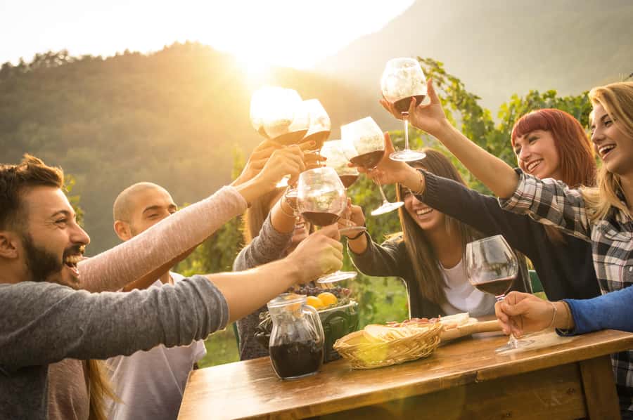 Swan Valley Full-Day Winery Experience with Lunch from Perth - Swan Valley Wines From Perth, Without the Stress