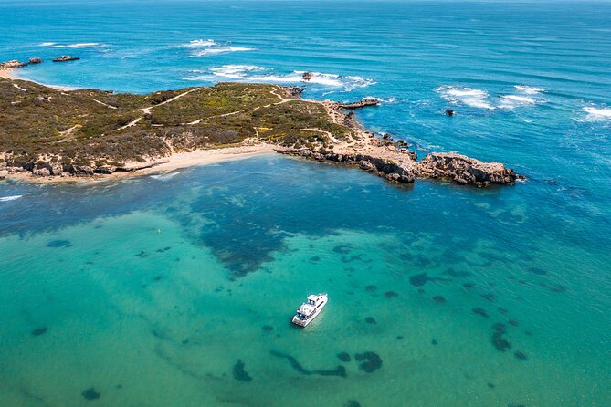 Swim with Wild Dolphins Day Tour - Lunch on Deck, Gear Changes, and the Small Comfort Wins