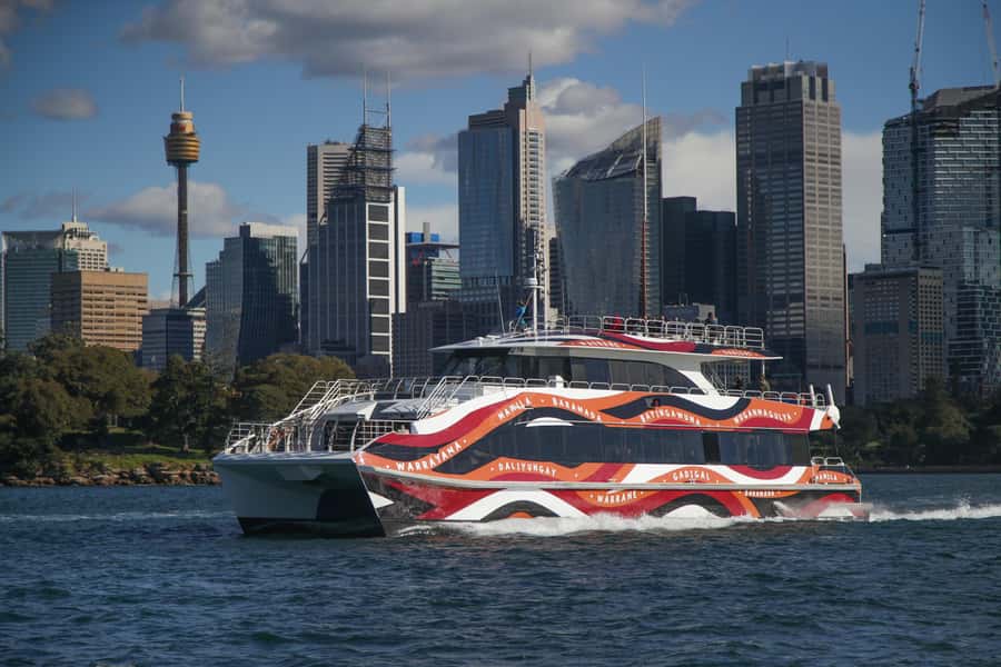 Sydney: 2-hour Express Whale Watching Cruise - Snacks, Drinks, and Onboard Comfort on a Short Cruise