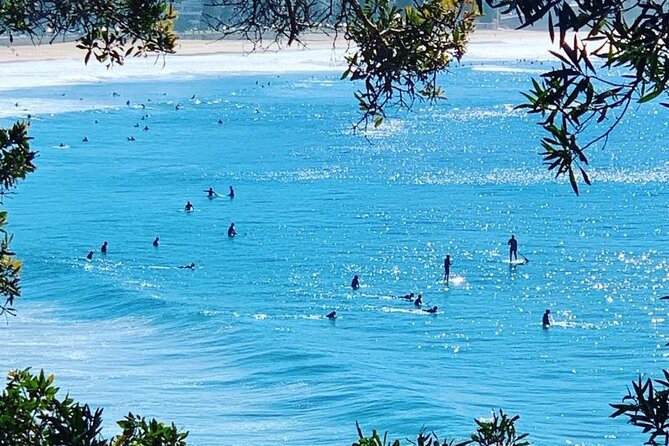 Sydney 6 Hour Private Tour - Price and value for a private Sydney day
